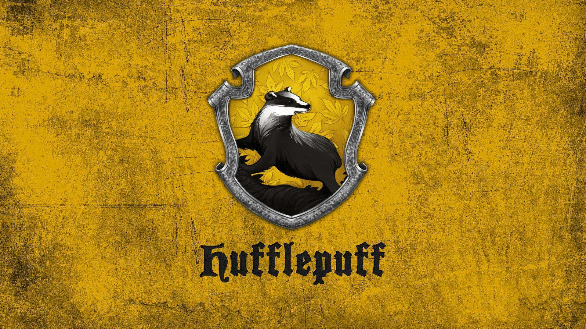 When a Hufflepuff finally read Harry Potter